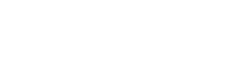 PPWC Global Sponsor - Nvidia